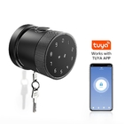 Wireless Zinc alloy Digital Electronic Fingerprint recognition smart door Lock with Tuya App or TTLock App GL-H4