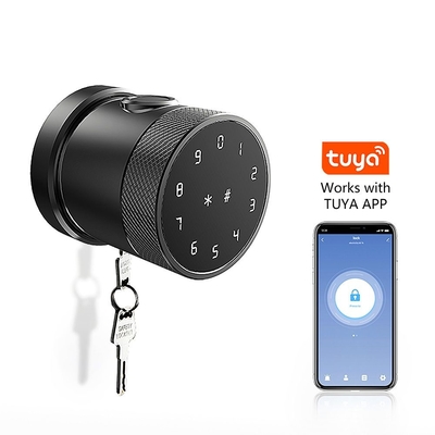 Porte intelligente sans fil en alliage de zinc numérique électronique de reconnaissance d'empreintes digitales Verrouillez avec l'application Tuya ou l'application TTLock GL-H4